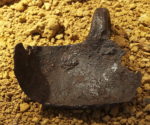 http://en.wikipedia.org/wiki/Hipposandal